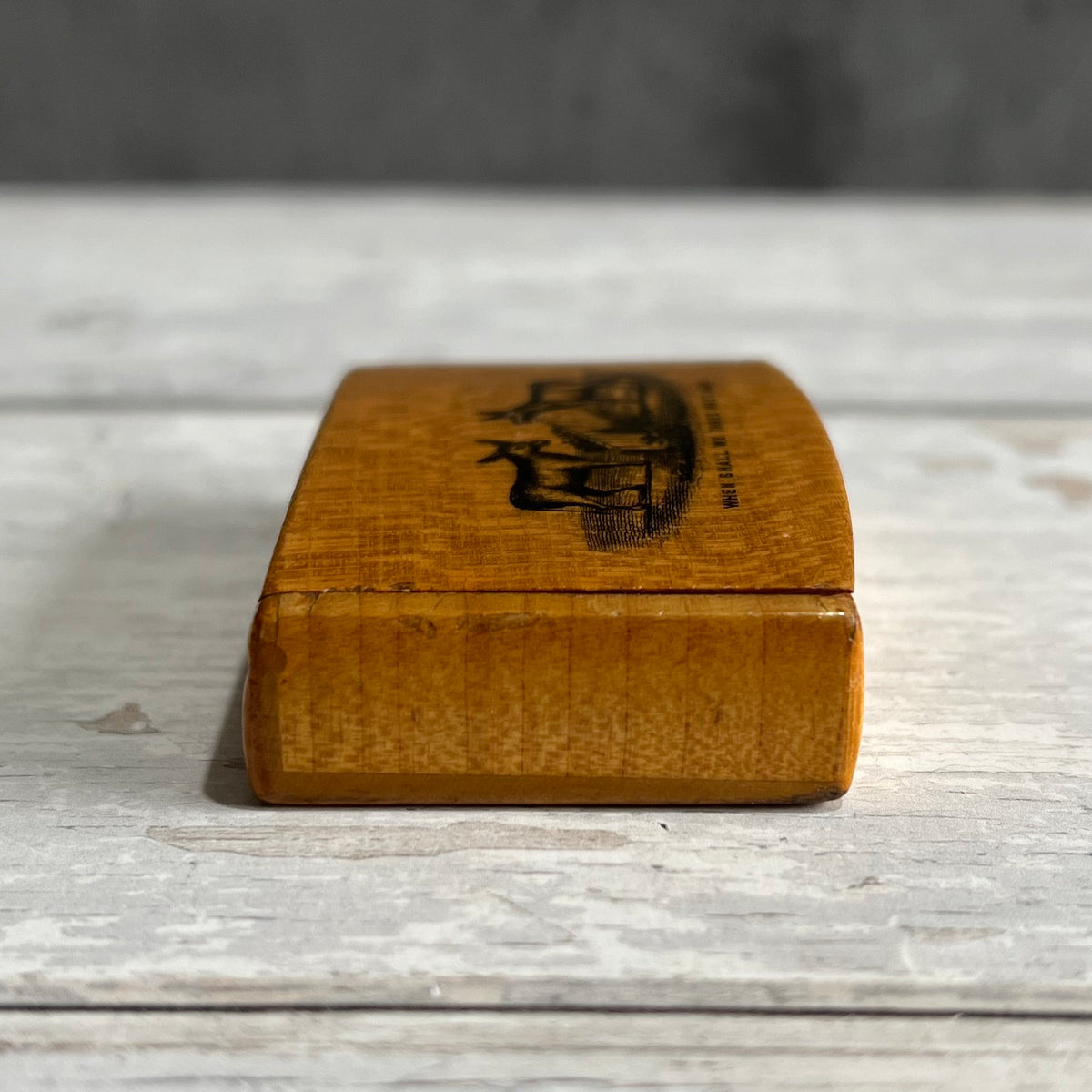 19th Century TINY Mauchline Ware Snuff Box Donkey Shakespeare Macbeth Adolph Frankau C 1850