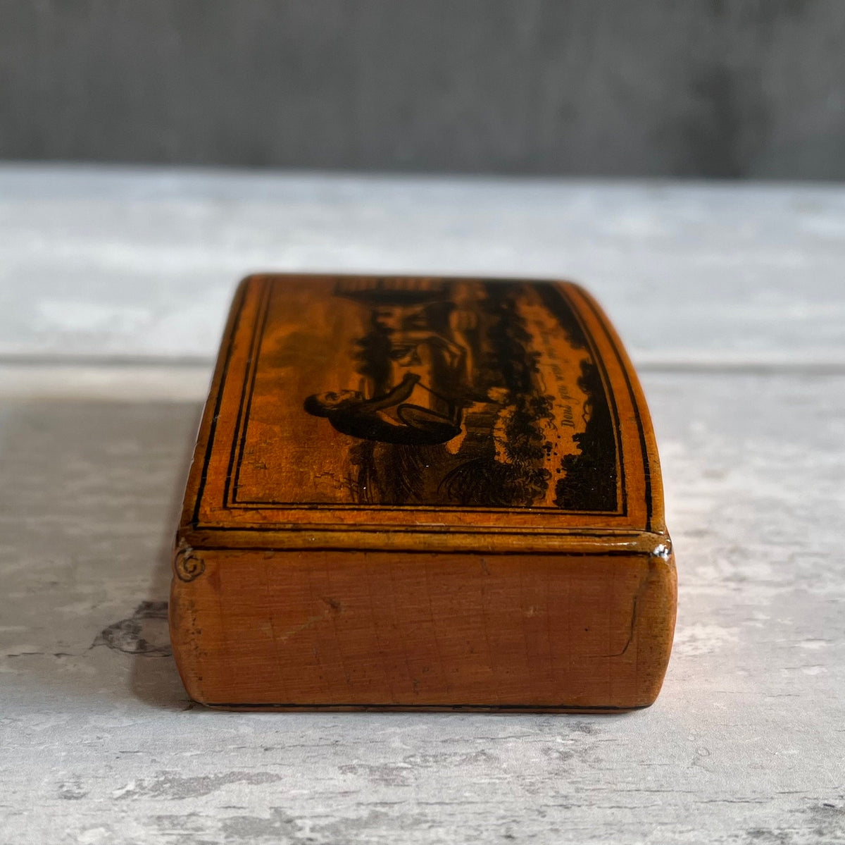 RARE 19th Century Snuff Box Monkey Dog Mauchline Ware C 1850