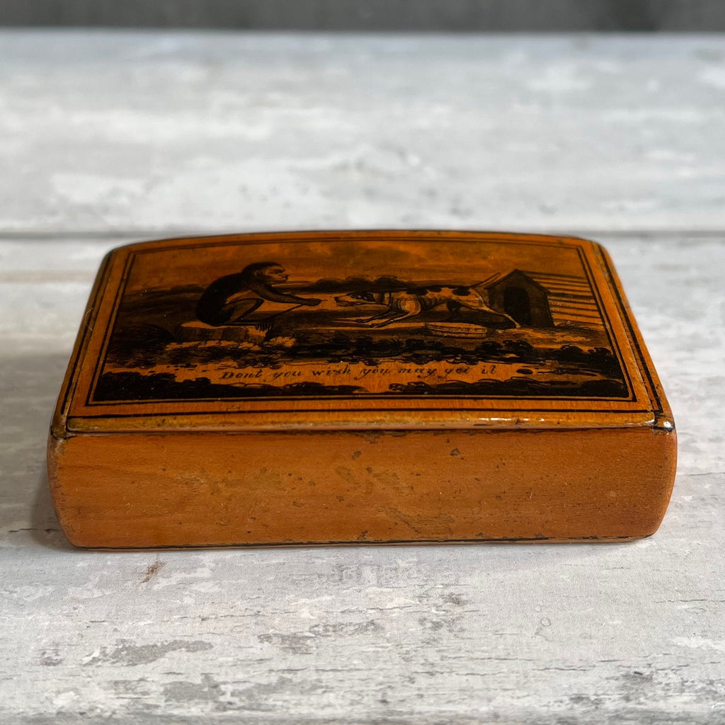 RARE 19th Century Snuff Box Monkey Dog Mauchline Ware C 1850