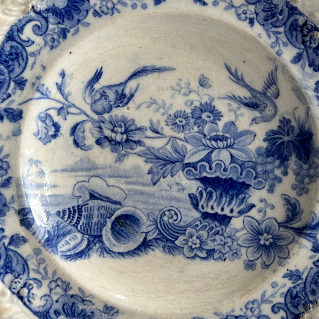 19th Century Childs Plate Blue And White Transferware Shells Birds and Cornucopia C 1830