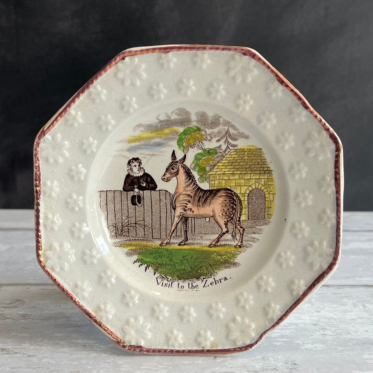 Rare Childrens Early Zoo Zebra Plate Nursery Ware Pearlware C 1840 Zoological