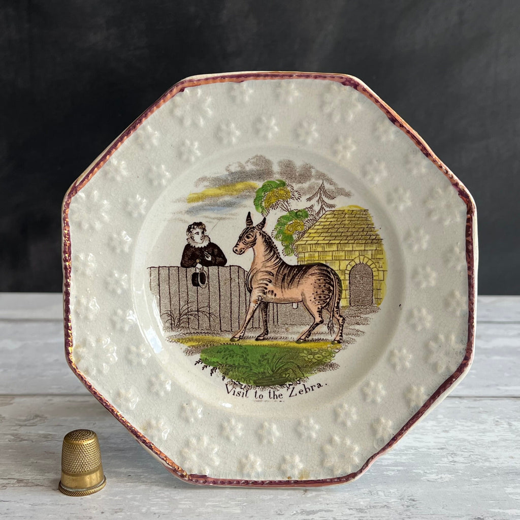 Rare Childrens Early Zoo Zebra Plate Nursery Ware Pearlware C 1840 Zoological