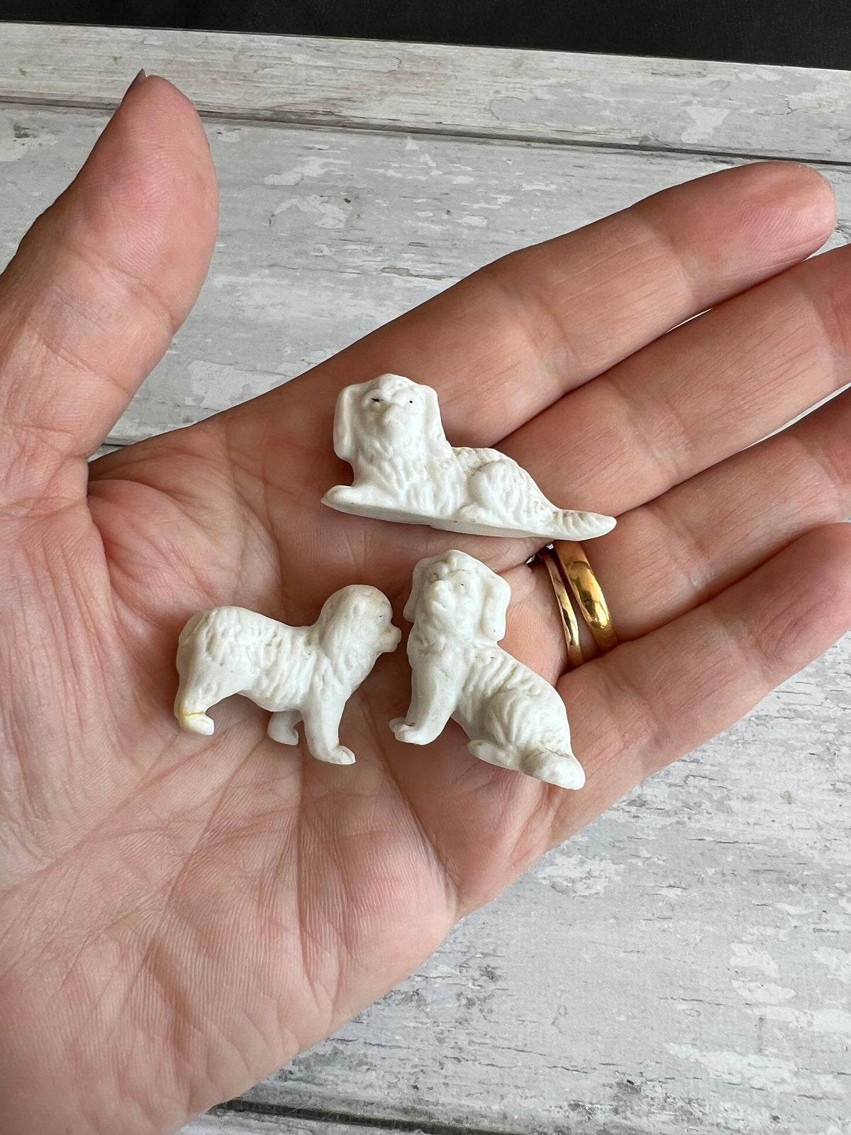 Antique Doll House Dog Trio Bisque White Dogs English Circa 1880