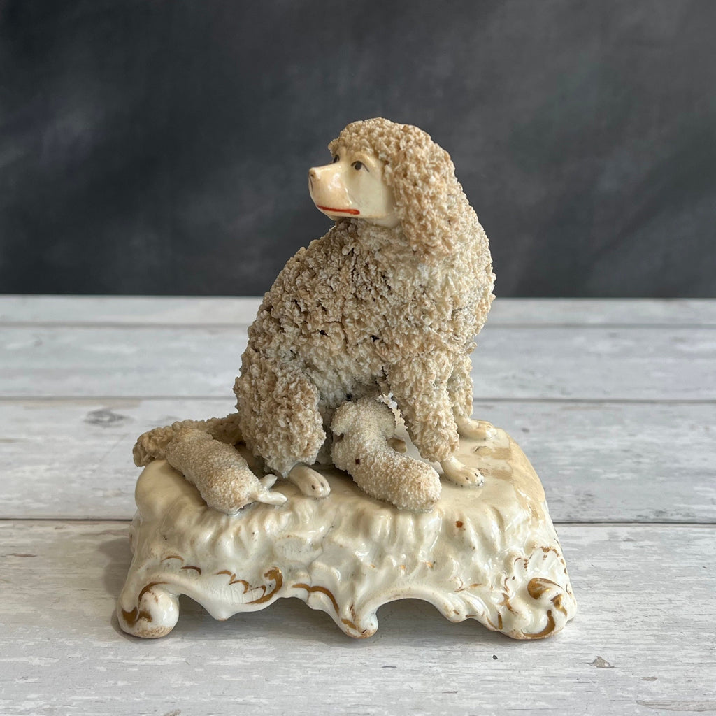 Rare Dudson English Porcelain Poodle Dog And Puppies Circa 1845