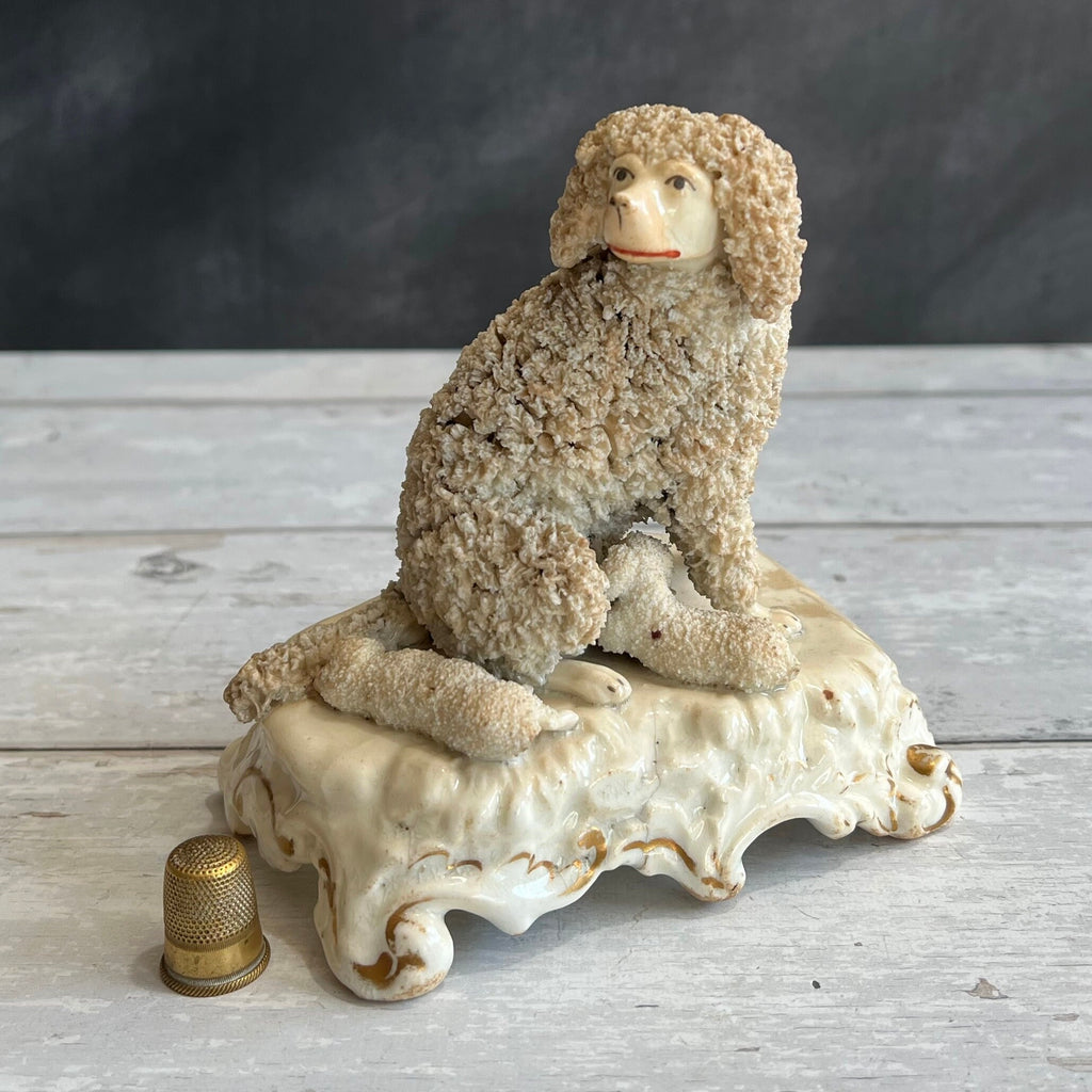 Rare Dudson English Porcelain Poodle Dog And Puppies Circa 1845