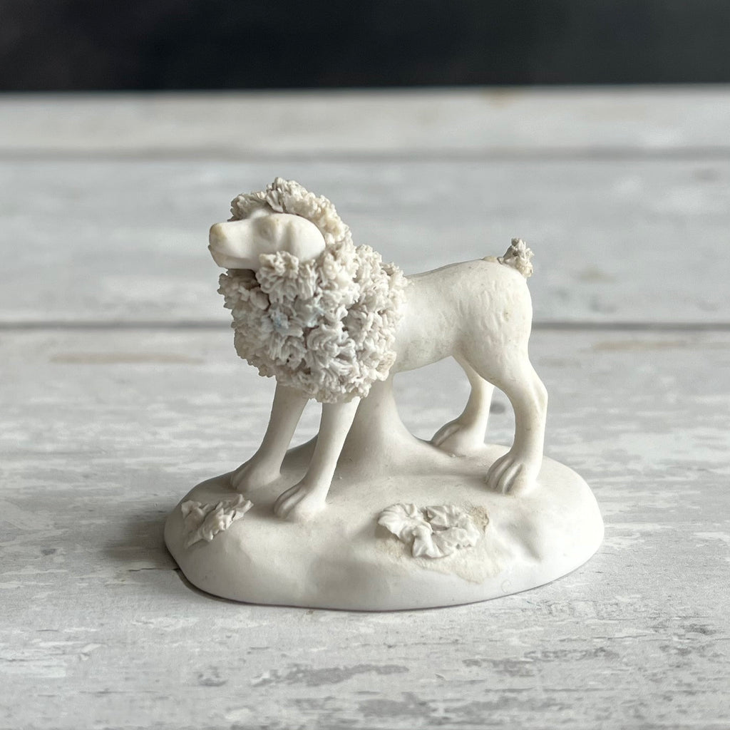 Miniature Chamberlain's Worcester TOY Dog Biscuit Porcelain Poodle with Lion Clip Circa 1830s AF