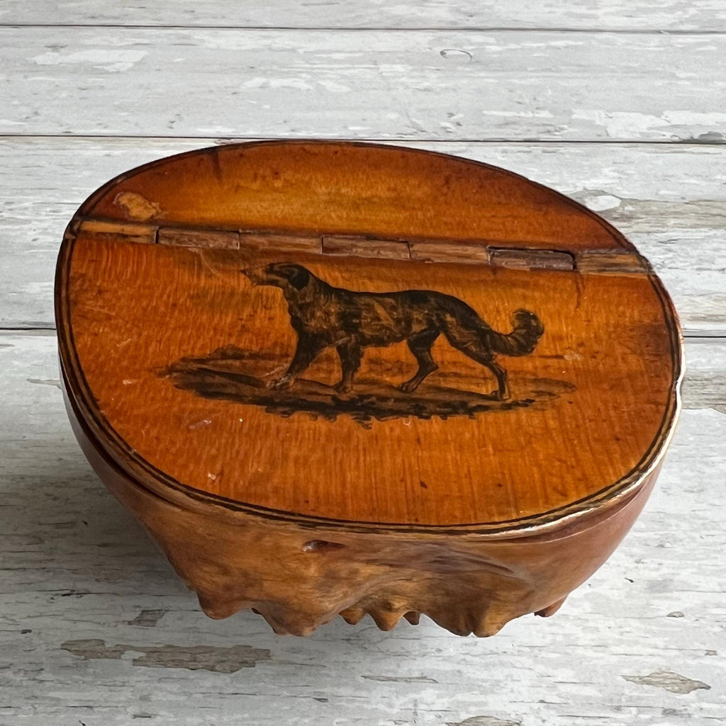 Scottish Burr Root Snuff Mull Newfoundland Dog C 1850's AF