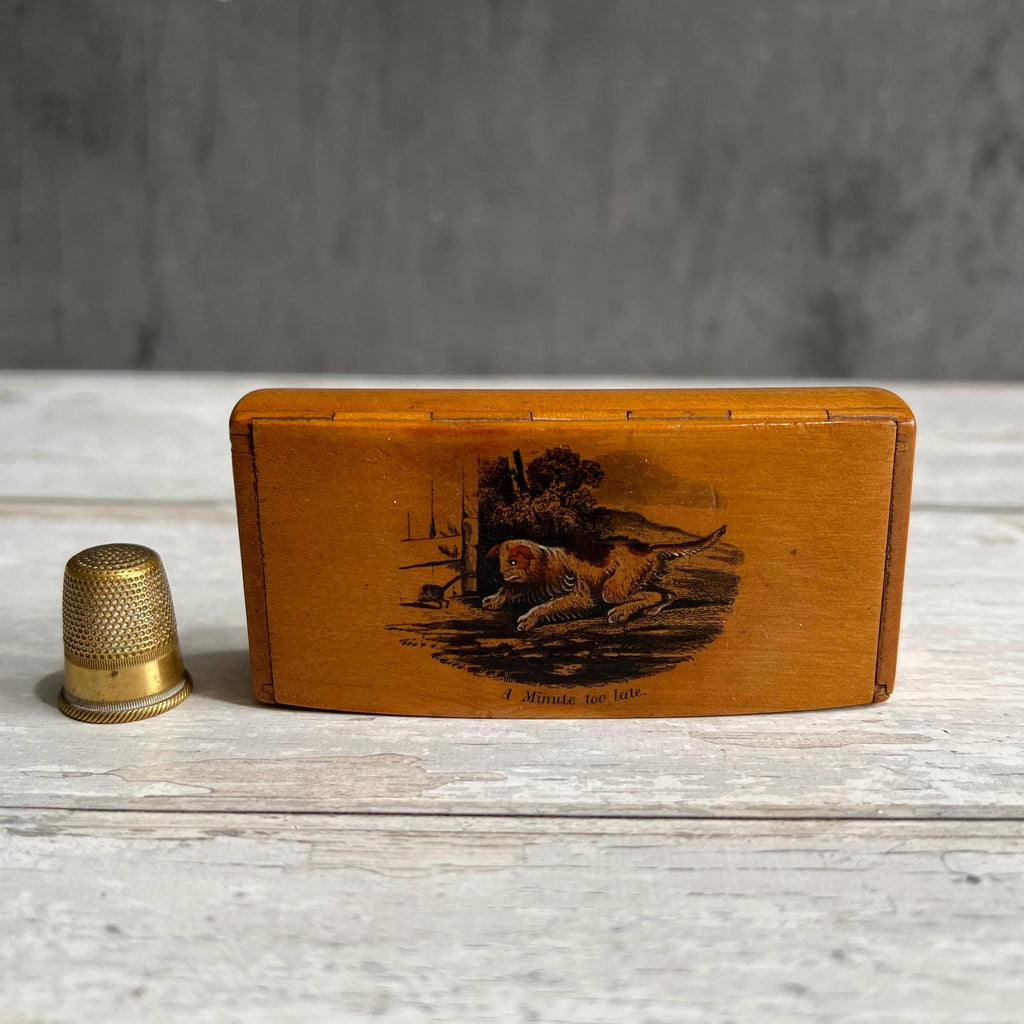 Mauchline Snuff Box A Minute Too Late Dog and Rat C 1850