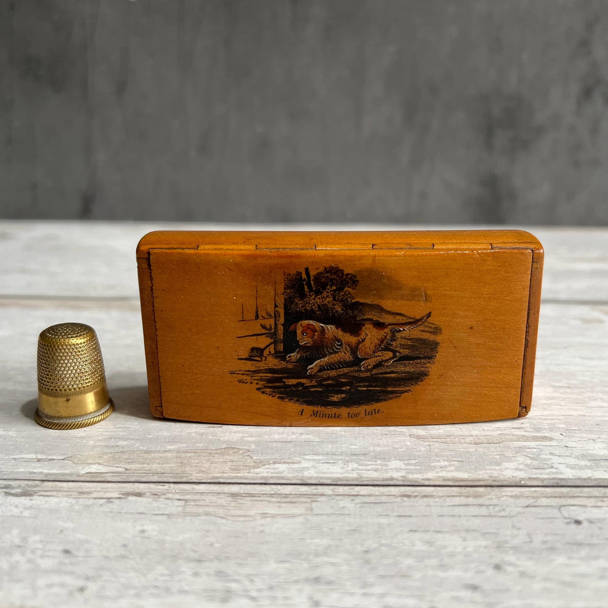 Mauchline Snuff Box A Minute Too Late Dog and Rat C 1850