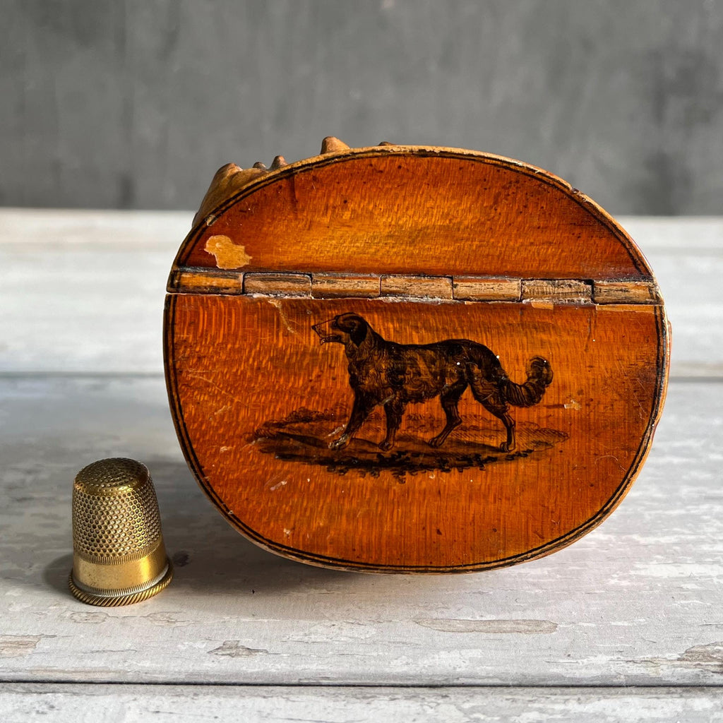Scottish Burr Root Snuff Mull Newfoundland Dog C 1850's AF