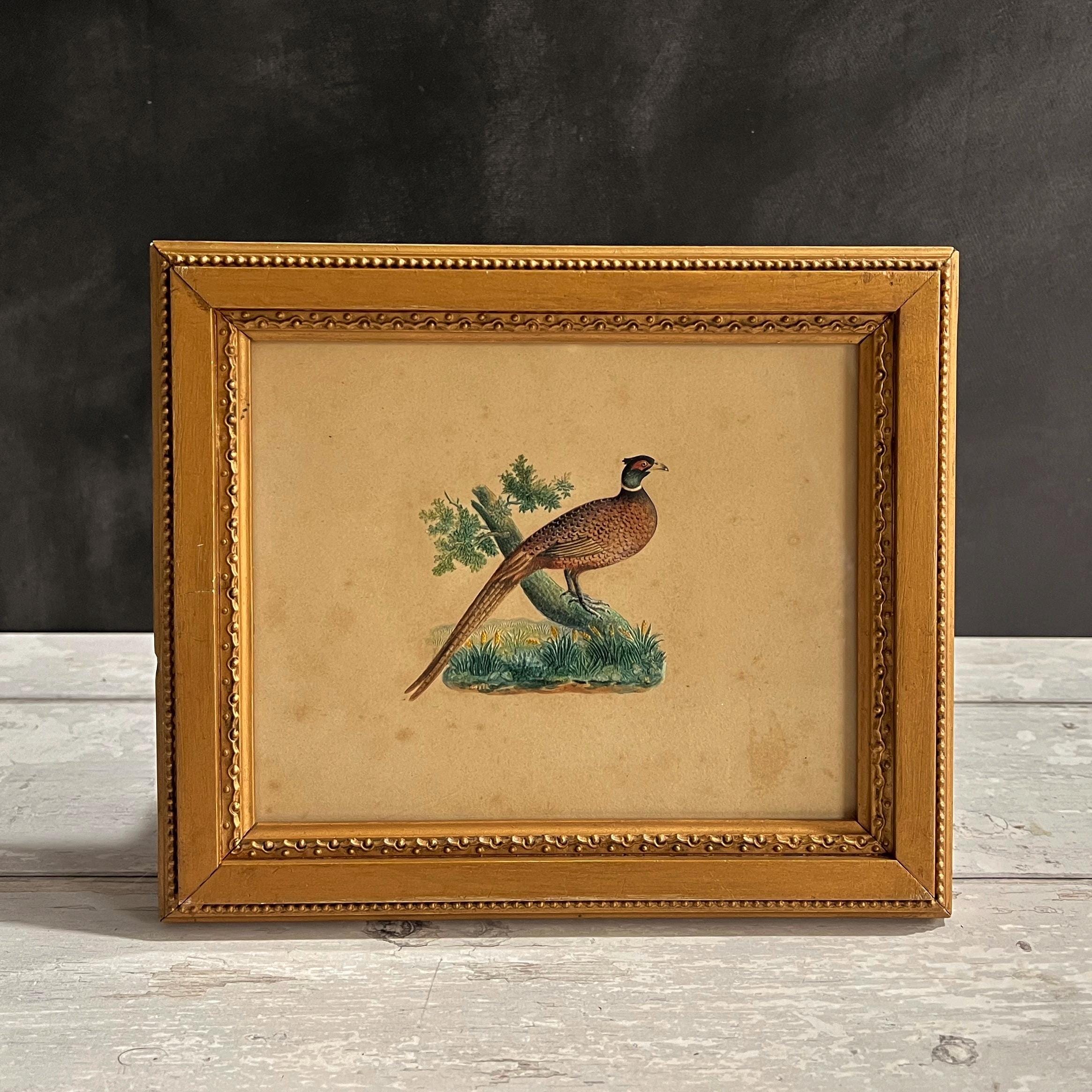 19th Century Bird Picture Embossed Paper Pheasant By Dobbs of London Circa 1830