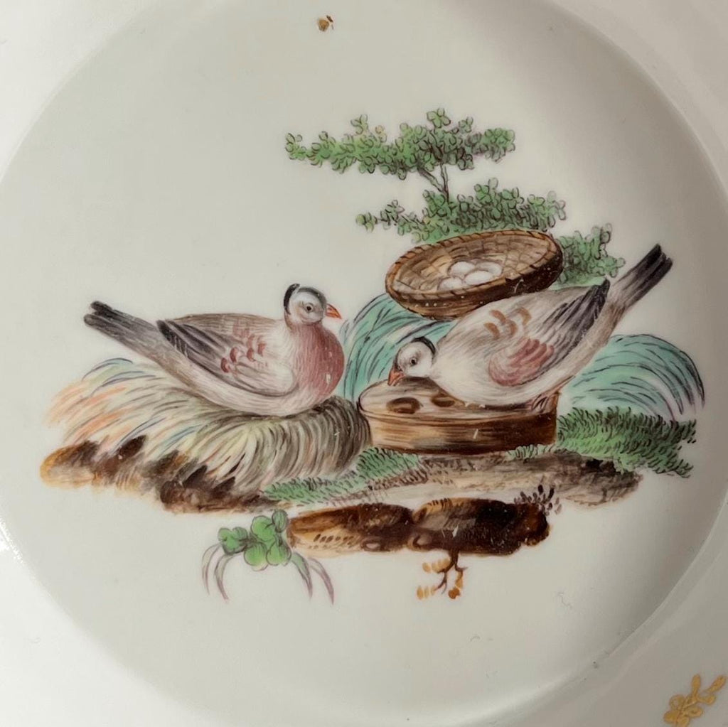 RARE 18th Century Hochst Porcelain Saucer Turtle Dove Bird C 1770
