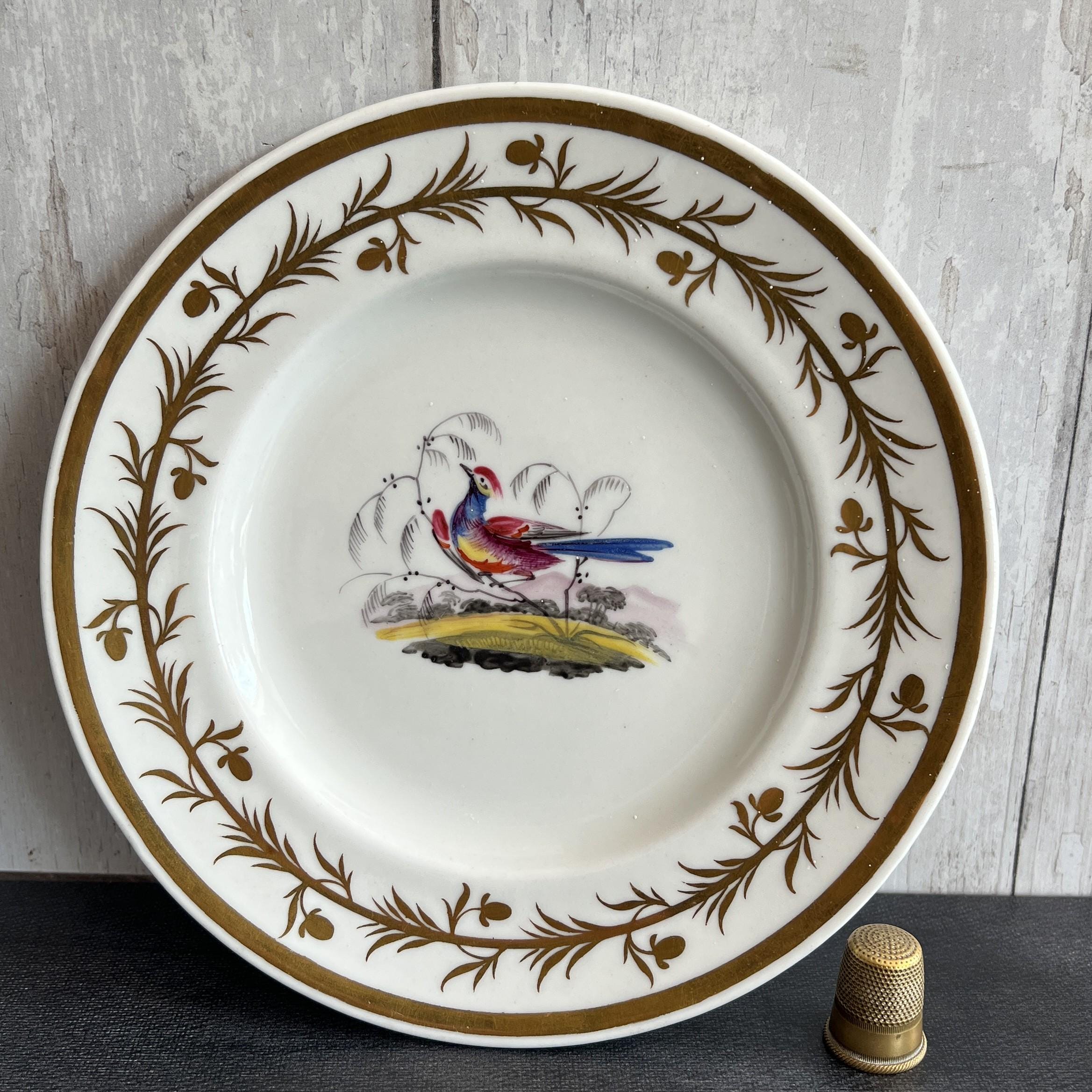 Chamberlain Worcester Porcelain Plate Exotic Bird C 1815
