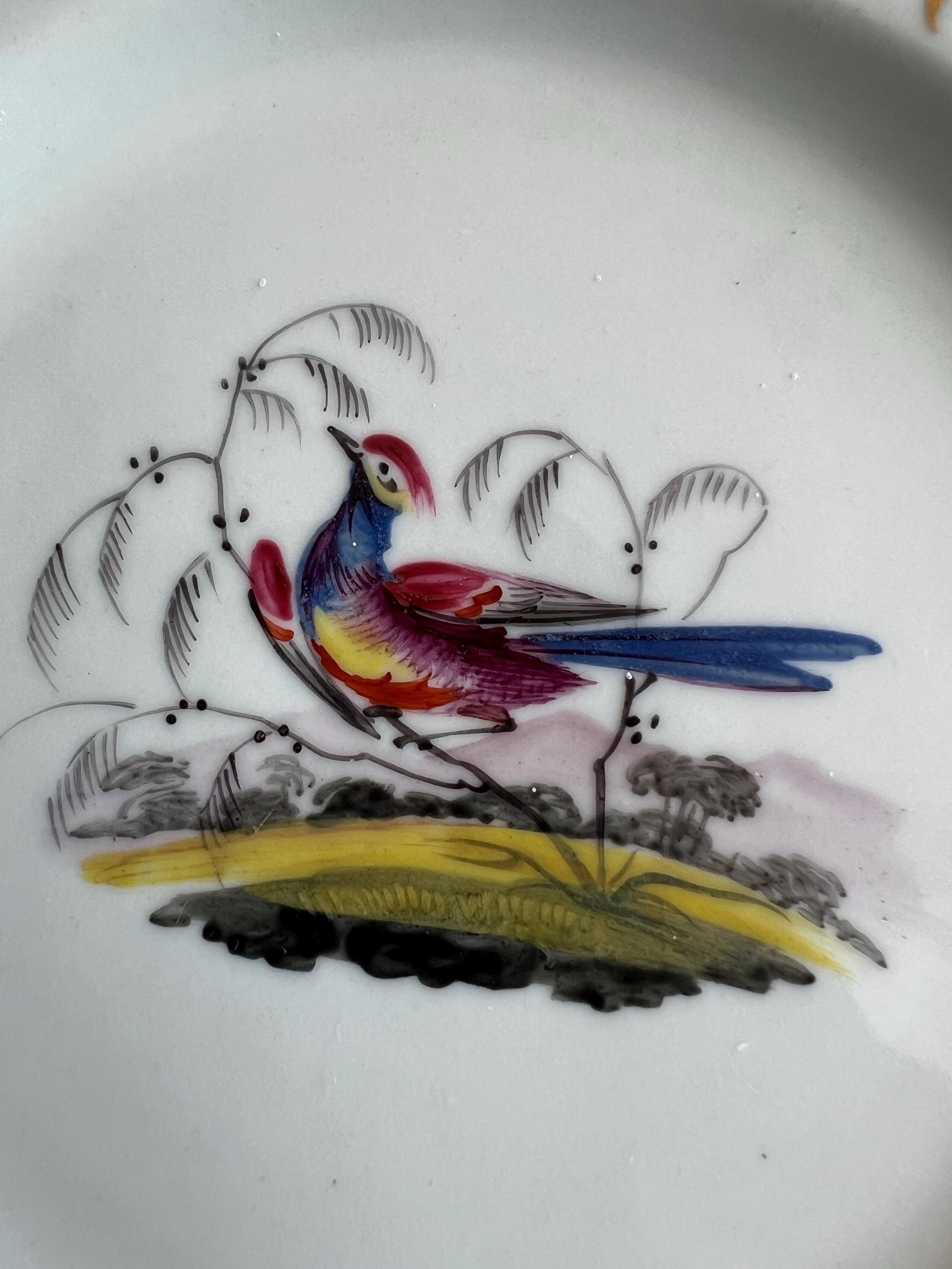 Chamberlain Worcester Porcelain Plate Exotic Bird C 1815