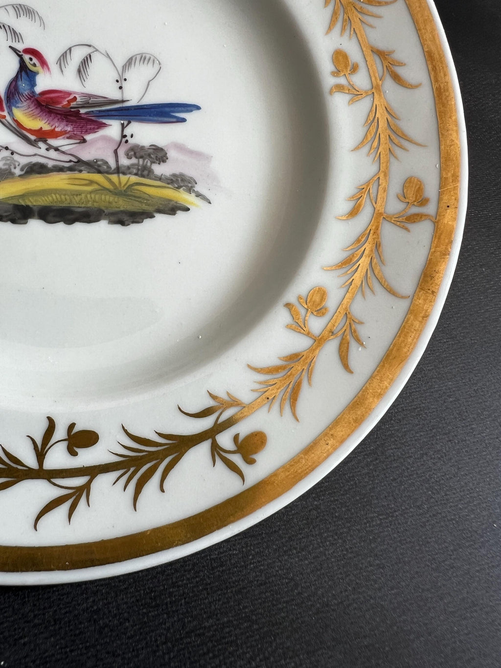 Chamberlain Worcester Porcelain Plate Exotic Bird C 1815