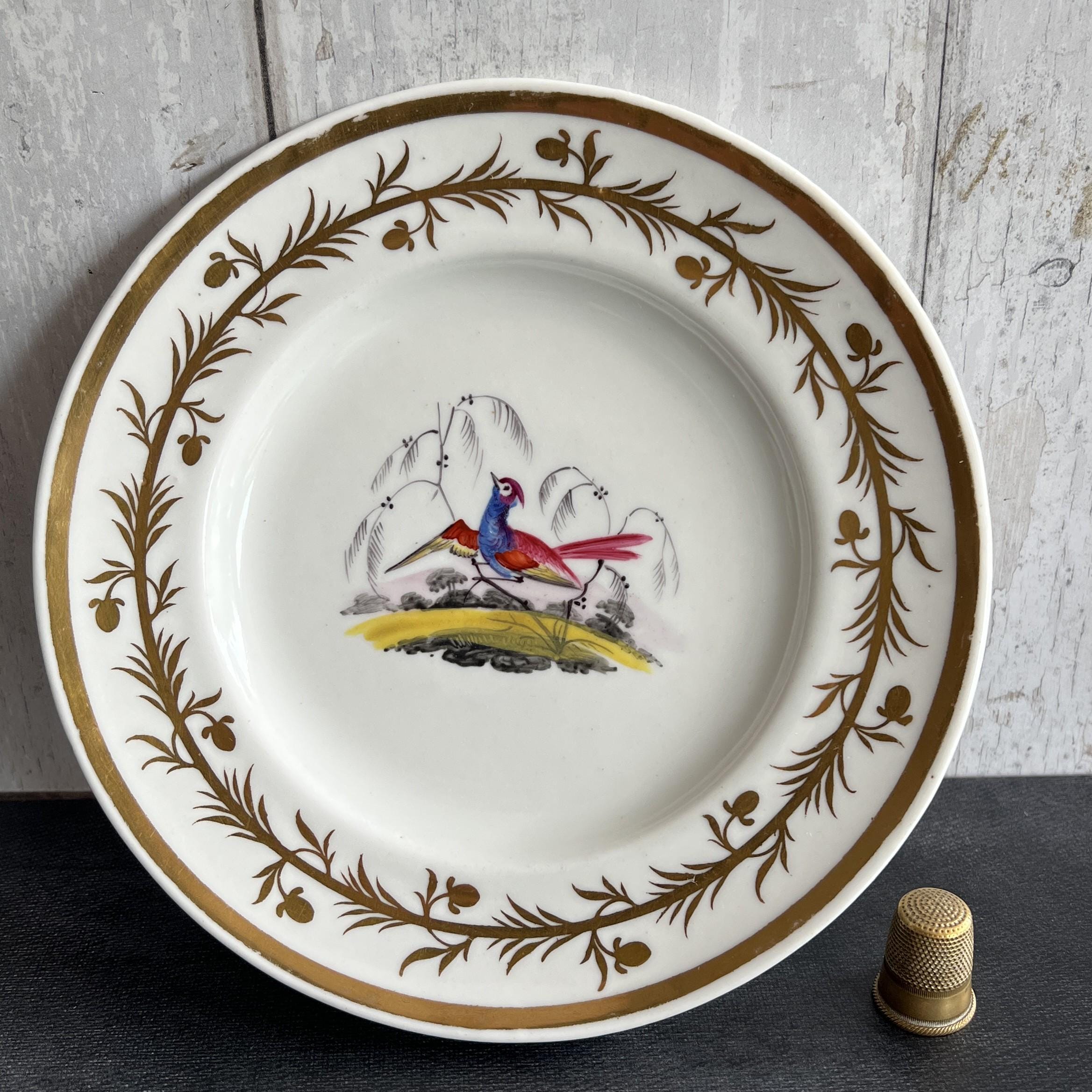 Chamberlain Worcester Porcelain Plate Exotic Bird Gilt Rim C 1815