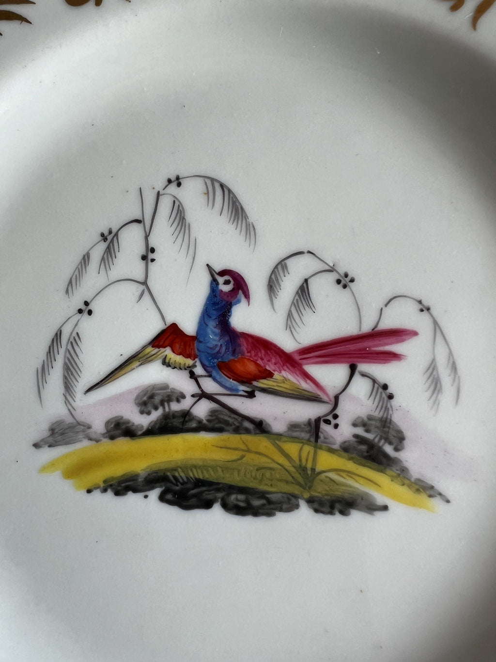 Chamberlain Worcester Porcelain Plate Exotic Bird Gilt Rim C 1815