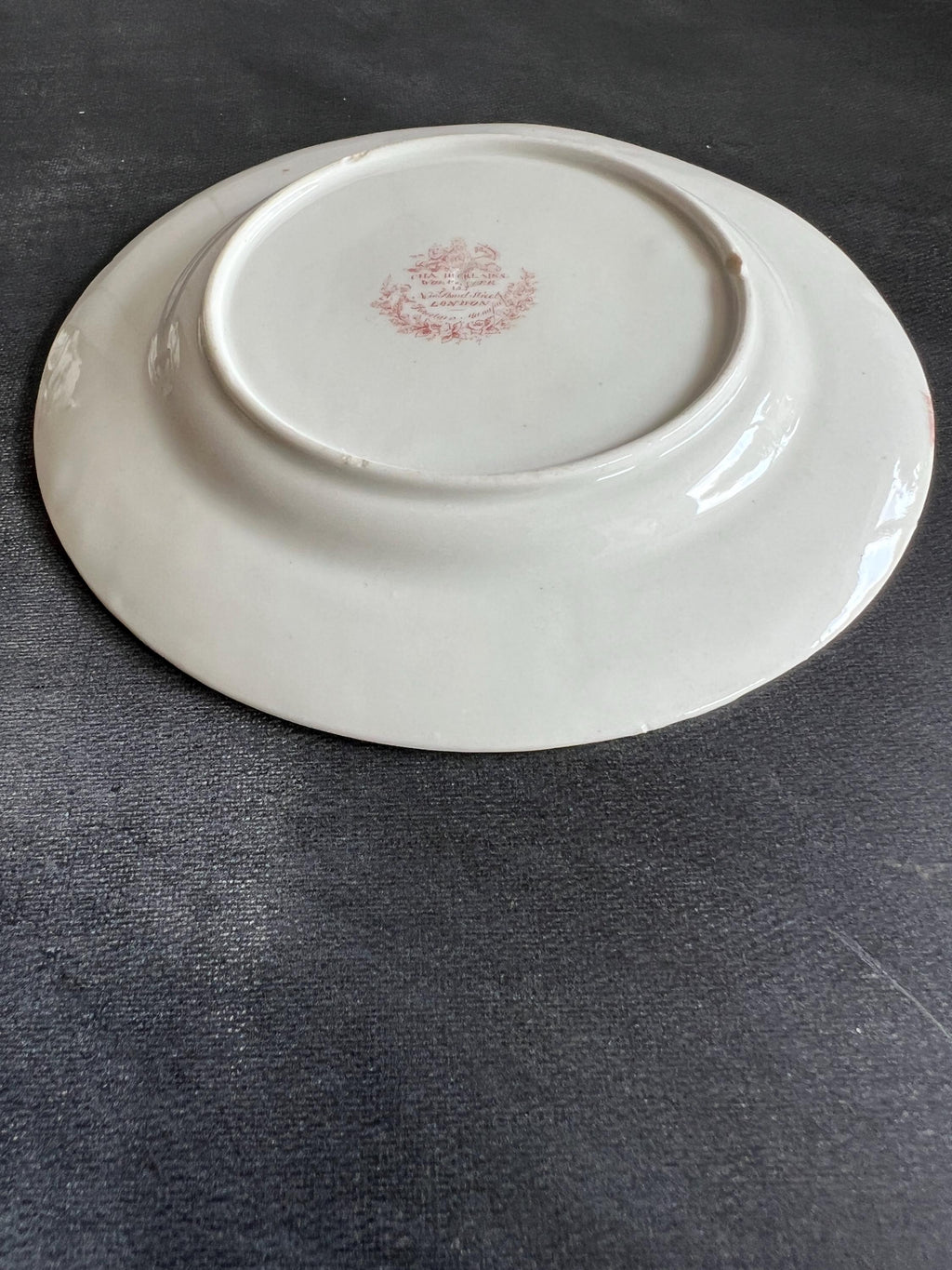 Chamberlain Worcester Porcelain Plate Exotic Bird Gilt Rim C 1815