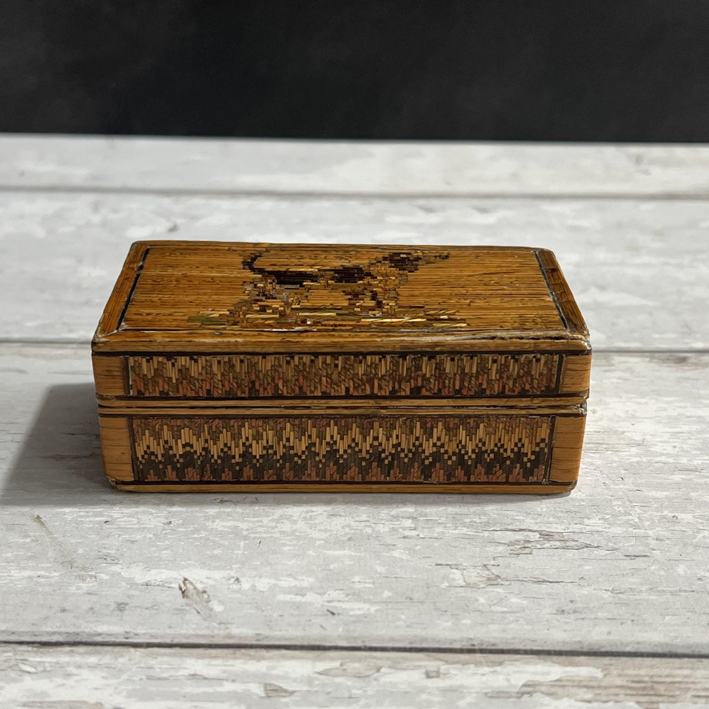Antique Straw Work Box Dog Georgian Folk Art C 1820