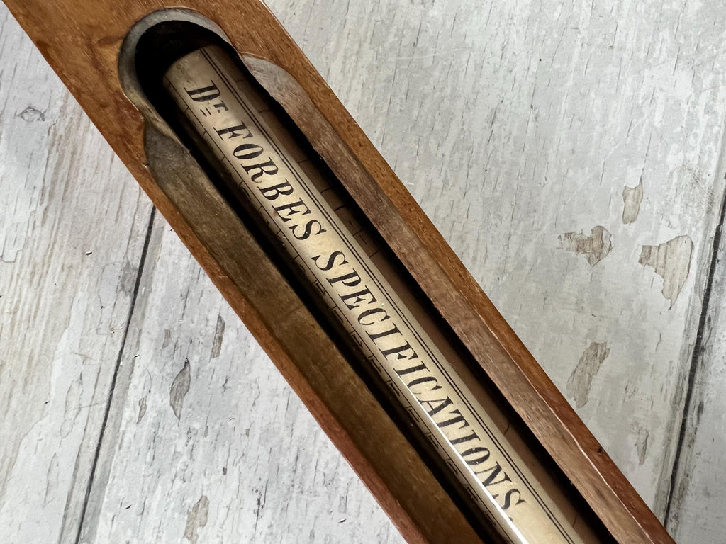 Antique Kitchenalia Treen Bath Thermometer Wooden Floating C 1900