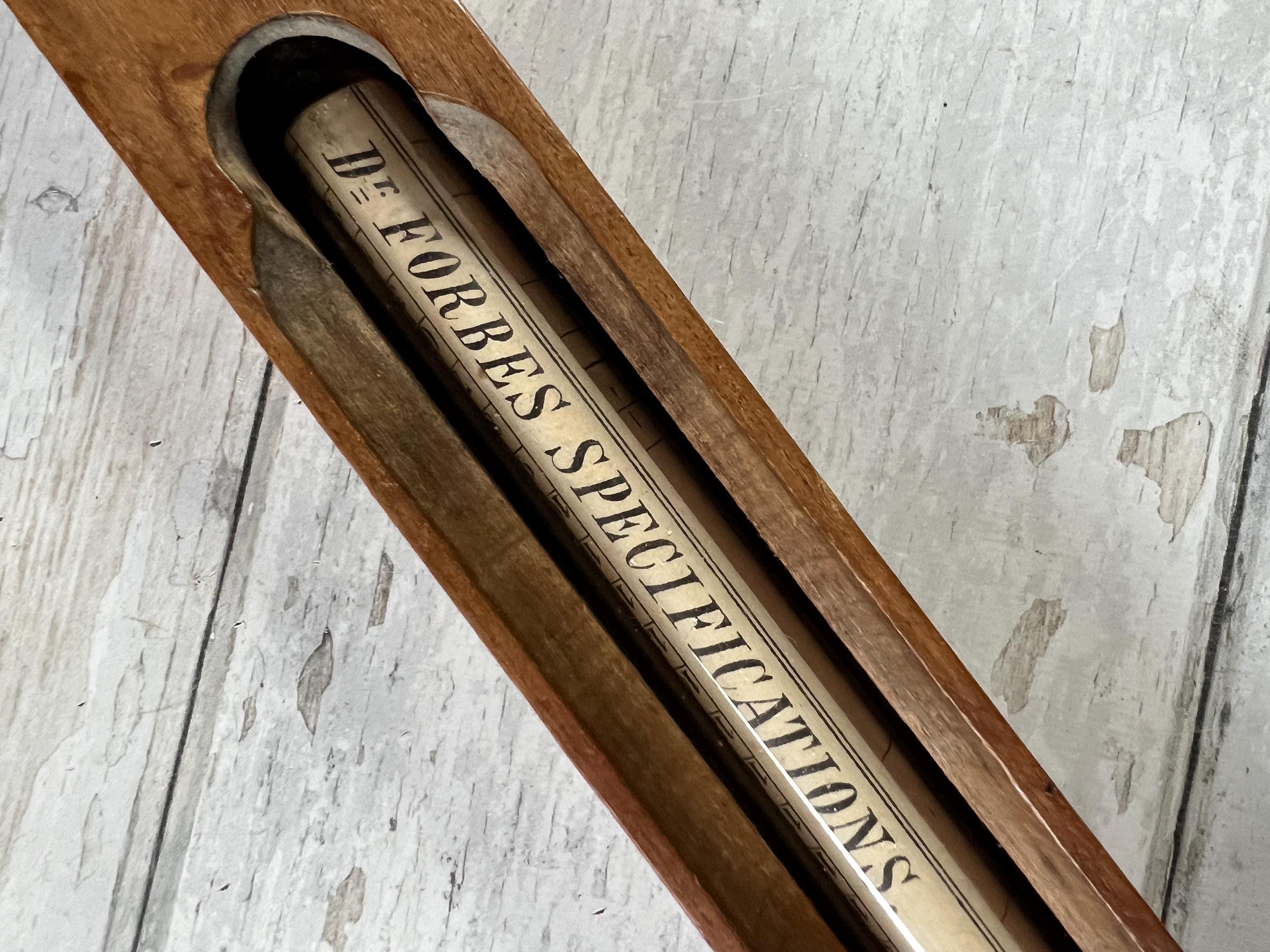 Antique Kitchenalia Treen Bath Thermometer Wooden Floating C 1900