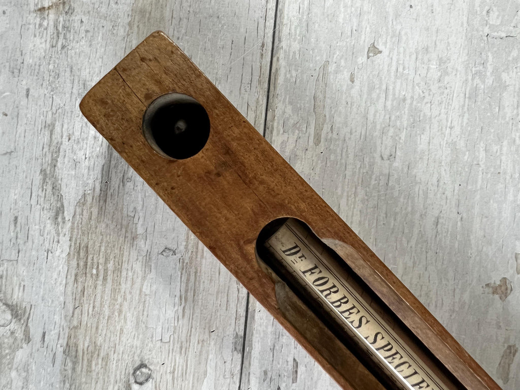 Antique Kitchenalia Treen Bath Thermometer Wooden Floating C 1900