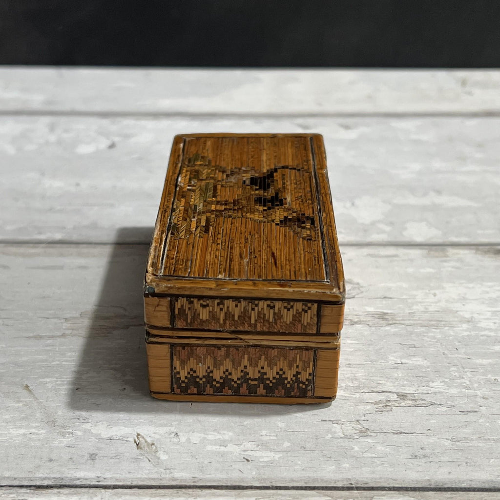 Antique Straw Work Box Dog Georgian Folk Art C 1820