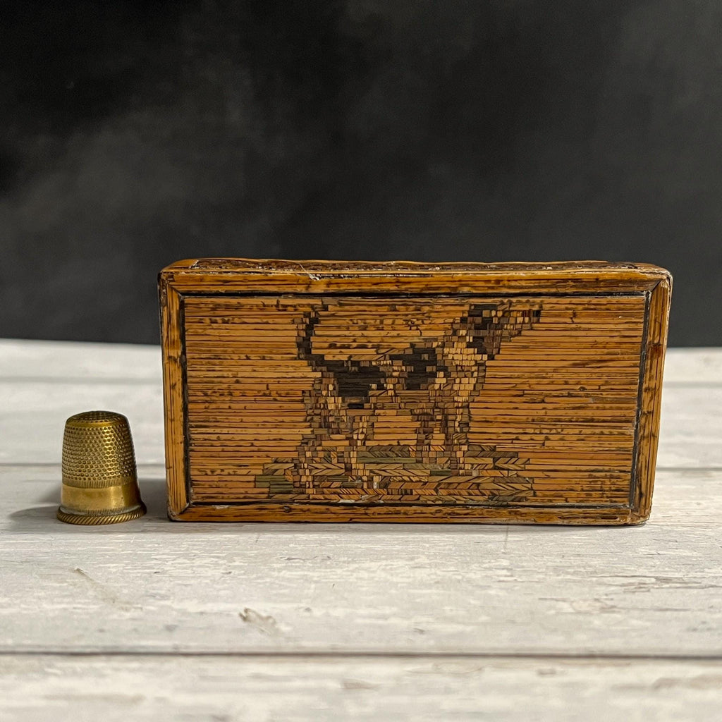 Antique Straw Work Box Dog Georgian Folk Art C 1820