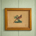 19th Century Bird Picture Embossed Paper Pheasant By Dobbs of London Circa 1830