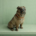 19th Century Pug Dog Figure Austrian Terracotta Glass Eyes C 1890