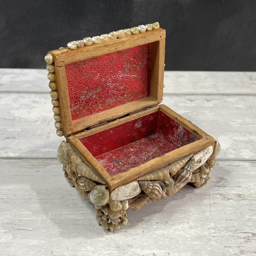 Victorian Sea Shell Trinket Box Shellwork Casket Circa 1900