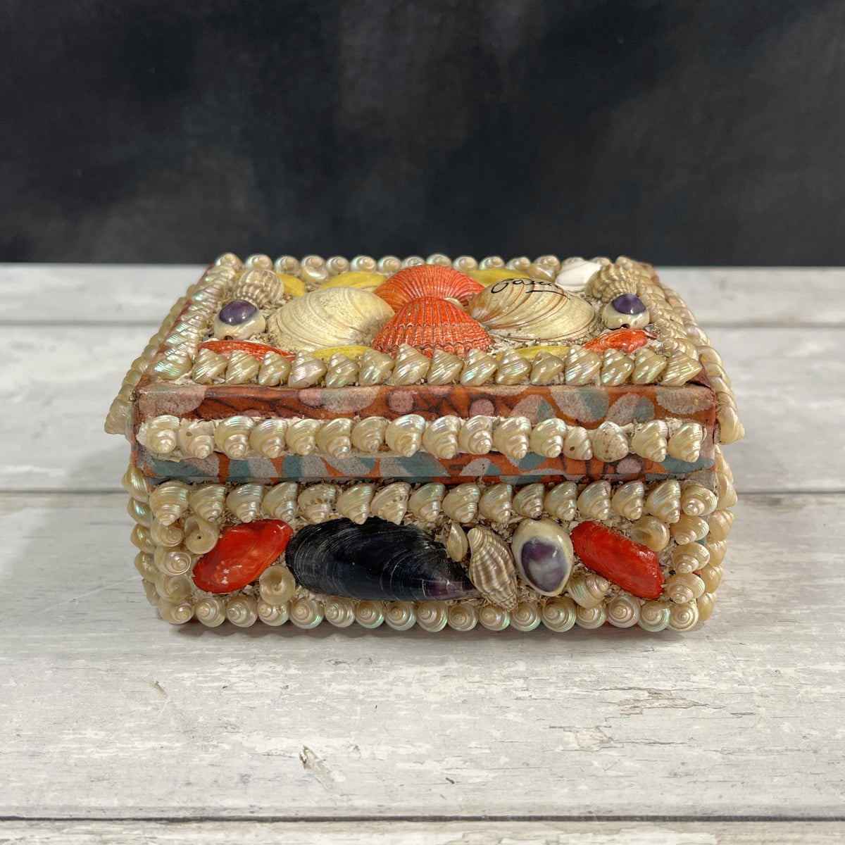 Victorian Sea Shell Trinket Box Shell Work C 1900