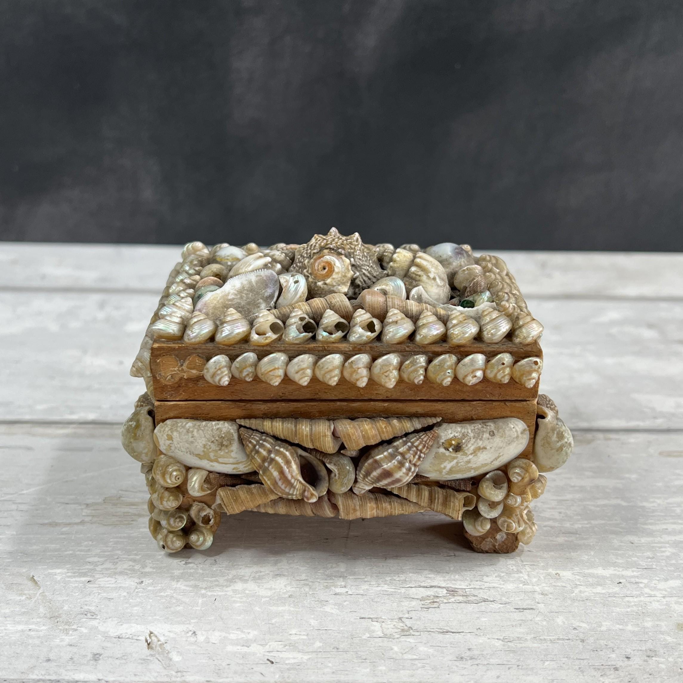 Victorian Sea Shell Trinket Box Shellwork Casket Circa 1900