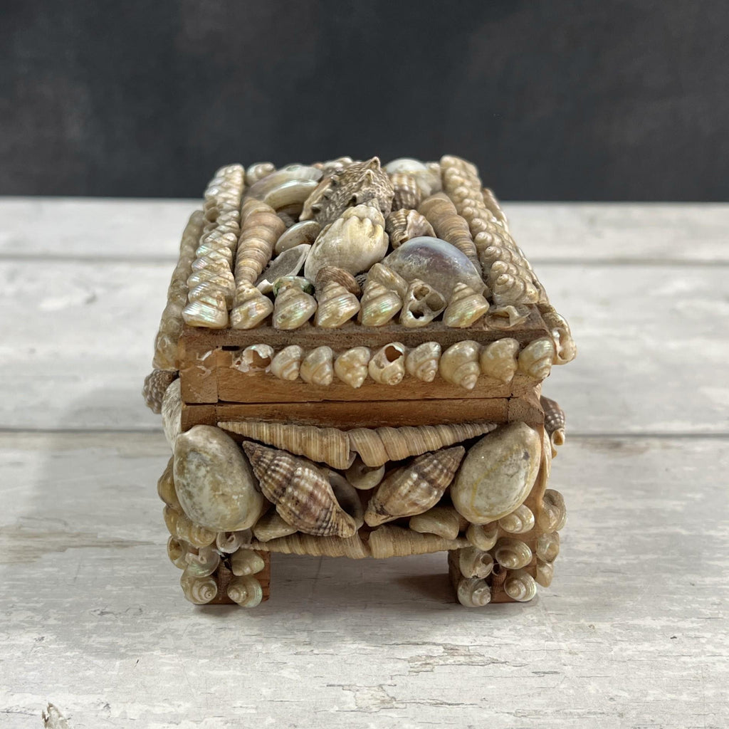 Victorian Sea Shell Trinket Box Shellwork Casket Circa 1900