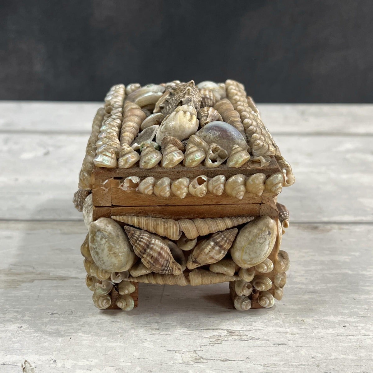 Victorian Sea Shell Trinket Box Shellwork Casket Circa 1900