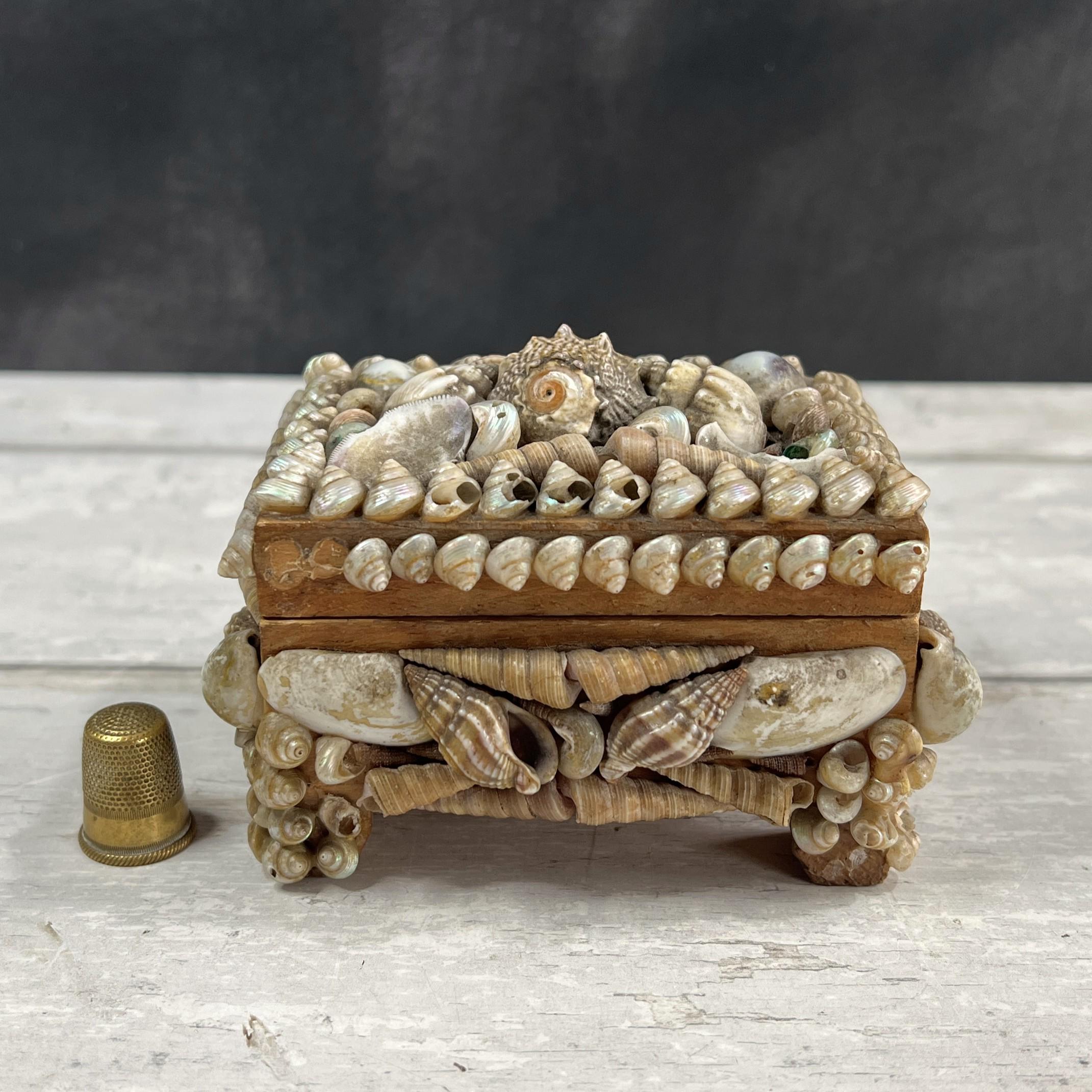 Victorian Sea Shell Trinket Box Shellwork Casket Circa 1900