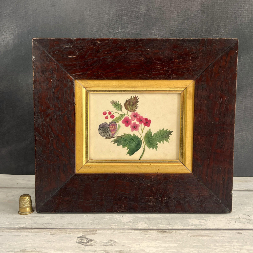 Antique Victorian Floral Painting Butterfly English Circa 1850